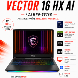 MSI Vector 16 HX AI A2XWHG-087FR Ultra 7-255HX/16 Go DDR5/1TB SSD/RTX 5070 Ti/16"