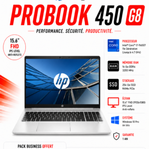 PC Portable HP ProBook 450 G8 i7-1165G7 16 GB 256 GB SSD